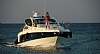 684-med434.jpg