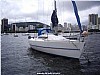 2349-shaefer31-1.jpg
