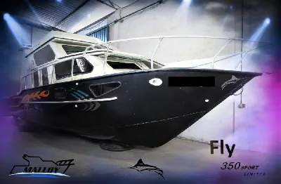 Fly 350 Sport