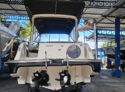 Coral 29