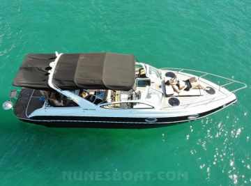 Coral 29