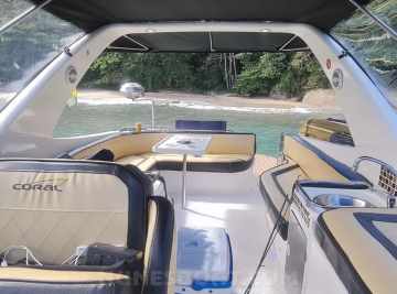 Coral 29