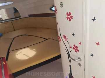 Coral 29