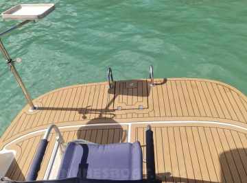 Coral 29