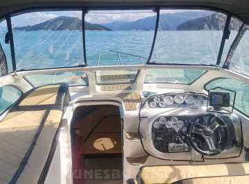 Coral 29
