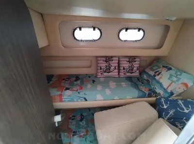 Clique para visualizar Oceanic 36