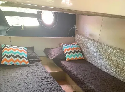 Clique para visualizar C 40