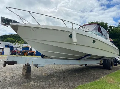 Clique para visualizar Coral Angra 32