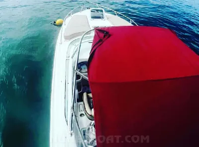 Clique para visualizar Coral Angra 32