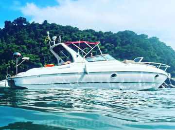 Coral Angra 32