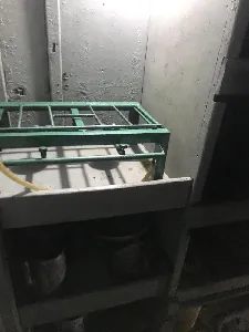 Linda traineira