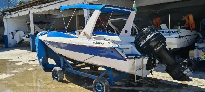 Clique para visualizar Red Scorpion