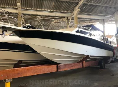 Clique para visualizar Carbrasmar 29