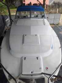 Carbrasmar 29