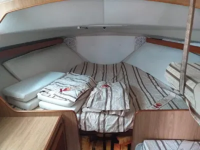 Clique para visualizar Carbrasmar 29