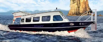 PASSAGEIROS & TURISMO 37 PÉS