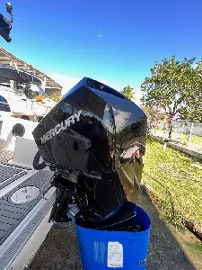 Clique para visualizar Fishing 22