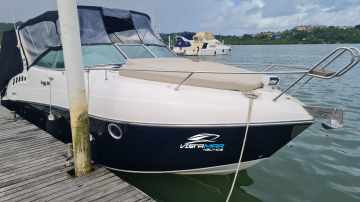 Singular 290
