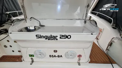 Singular 290