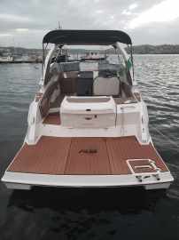 Lancha Fs 290