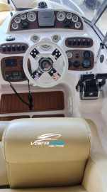 Coral 31