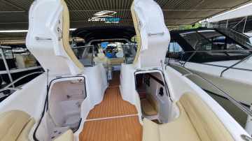 Coral 31