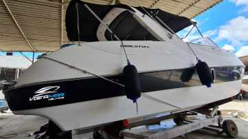 Coral 31