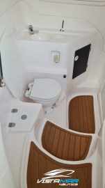 Coral 31