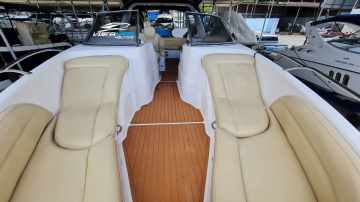 Coral 31