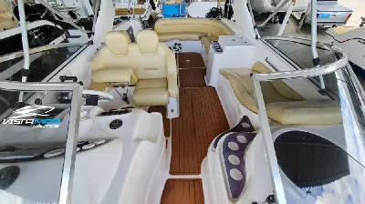 Coral 31