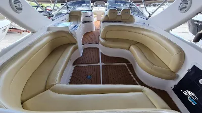 Coral 31
