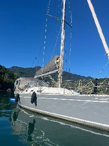 Cota Delta 36 - Paraty