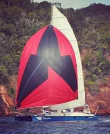 Catamarã Baia 9.0, multicasco 29 pés