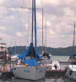 Velamar 29