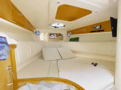 Clique para visualizar Phantom 300