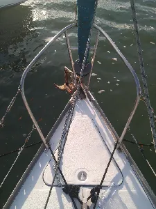 Clique para visualizar Brasilia 27