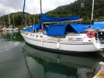 Clique para visualizar Trinidad 37