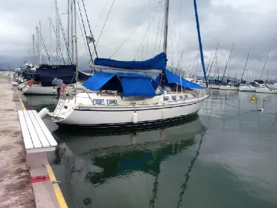 Trinidad 37