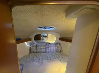 Clique para visualizar Cimitarra 340