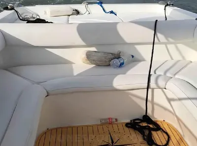 Clique para visualizar Panther 33