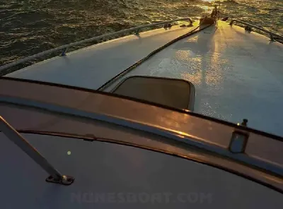 Clique para visualizar Panther 33