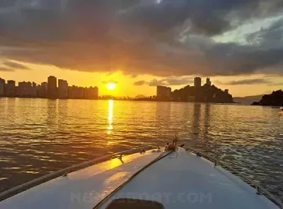 Clique para visualizar Panther 33