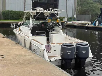 Clique para visualizar Fishing 280 WA