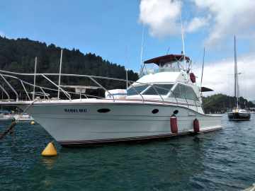 Carbrasmar 41 Sportfisherman + Scania DS111