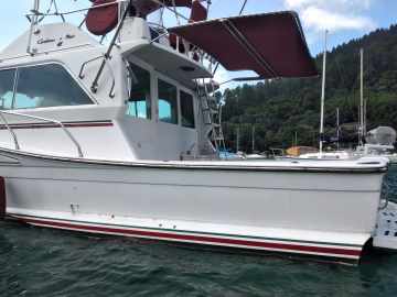 Carbrasmar 41 Sportfisherman + Scania DS111