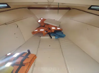 Clique para visualizar Cimitarra 250