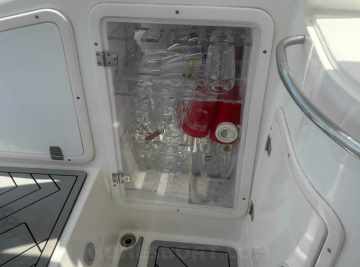 Phantom 300