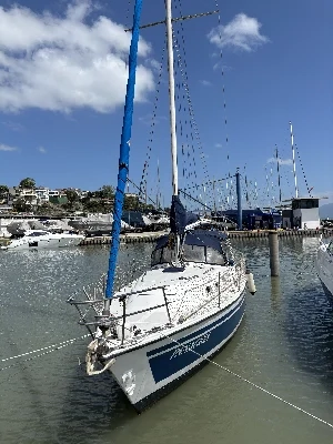 Trinidad 37