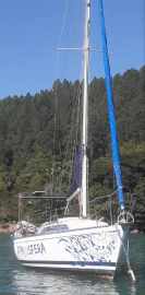 26956-5831-20244233357-2.jpg