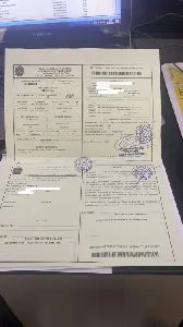 NX290 Exclusive Edition